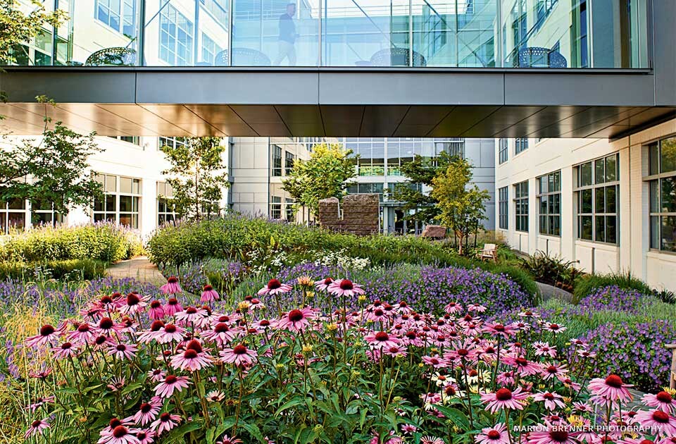 Commercial grounds contract on a corporate property in Princeton Junction, NJ. New Dawn Landscaping.