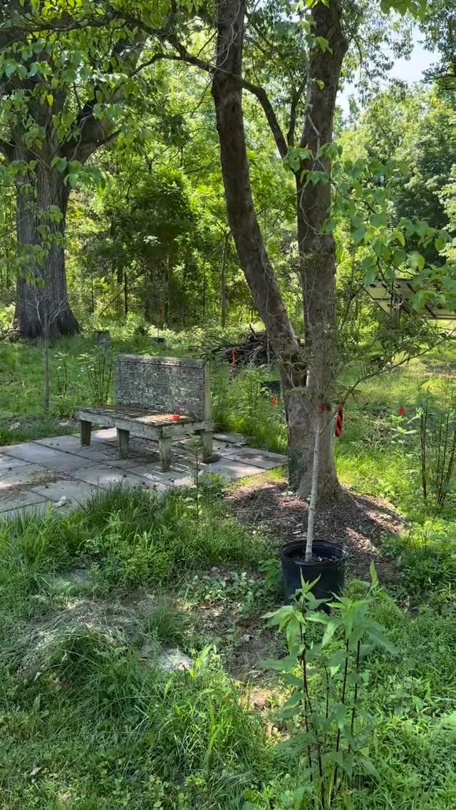 Landscaping and hardscape project in Monmouth Junction by New Dawn Landscaping.